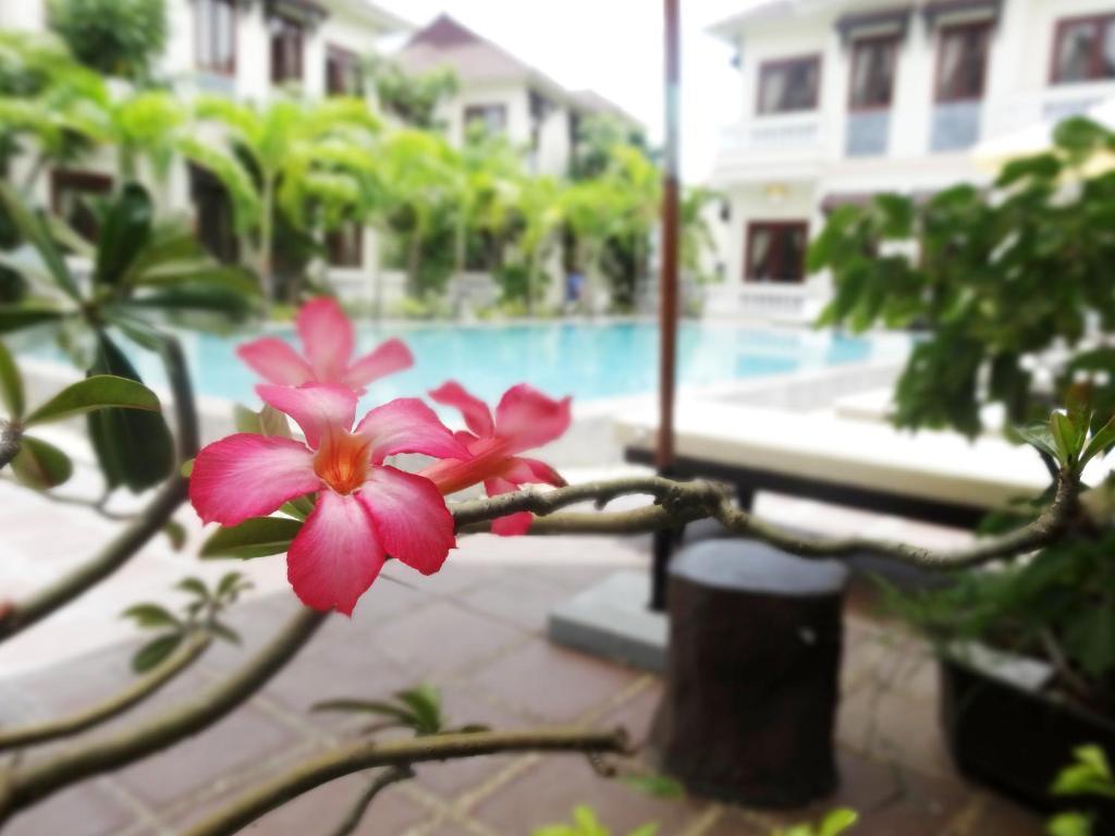 Hoi An Memority Villas & Spa Exterior photo